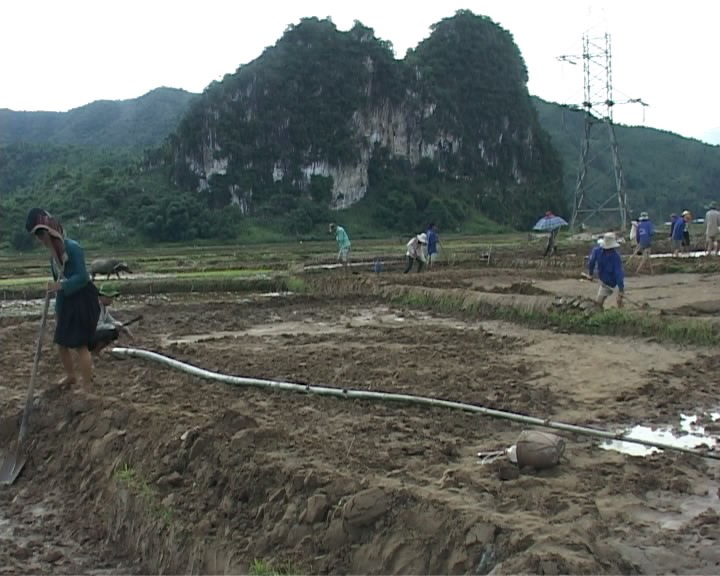 Điện Biên tập trung khắc phục thiệt hại do lũ - ảnh 1